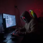 New supply chain attack targets widely trusted jQuery Migrate library.