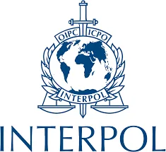 Interpol logo